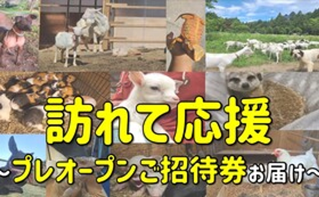 プレオープンご招待券