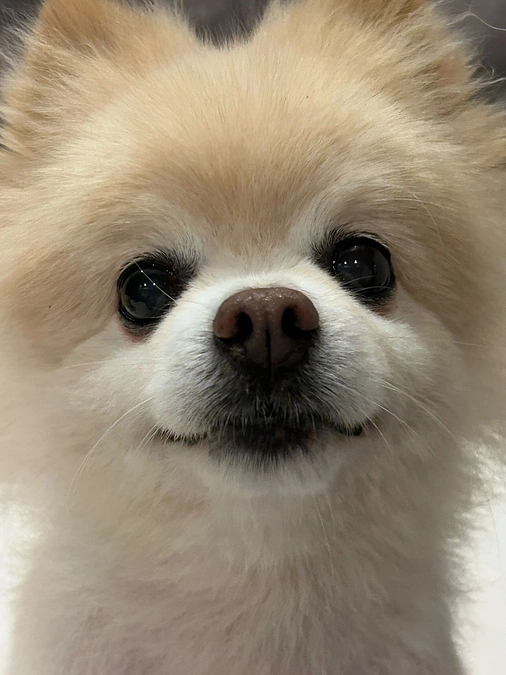 57/59 ☆ 出血の理由(ワケ)は…？