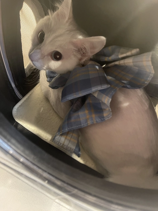 9月23日の検査結果のご報告