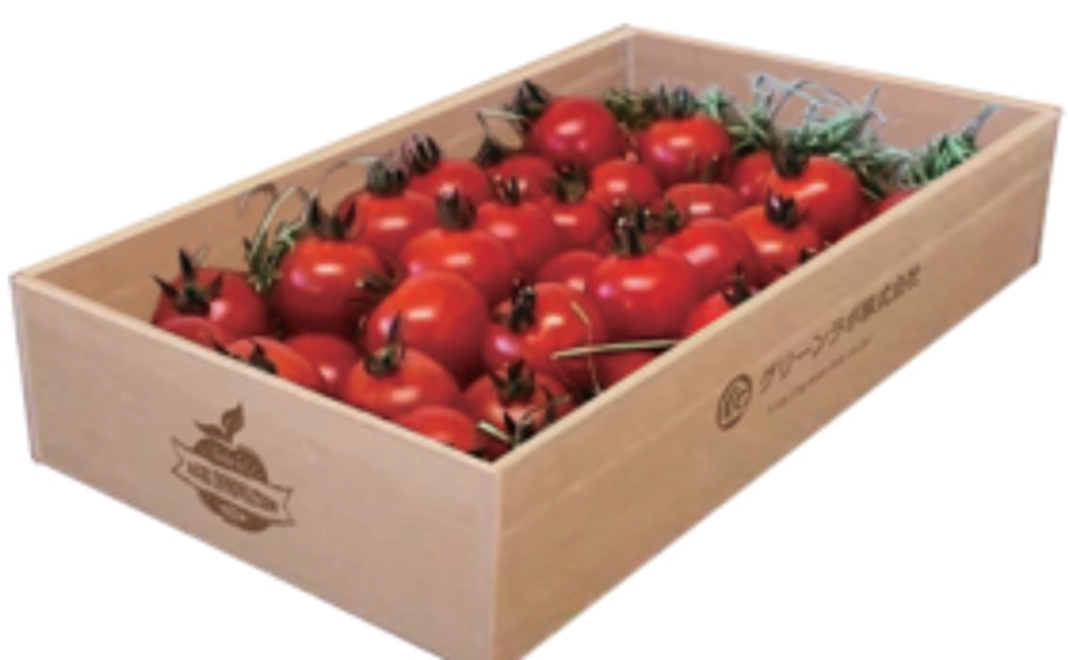 🍅 ミニトマト詰め合わせ500ｇ 🍅