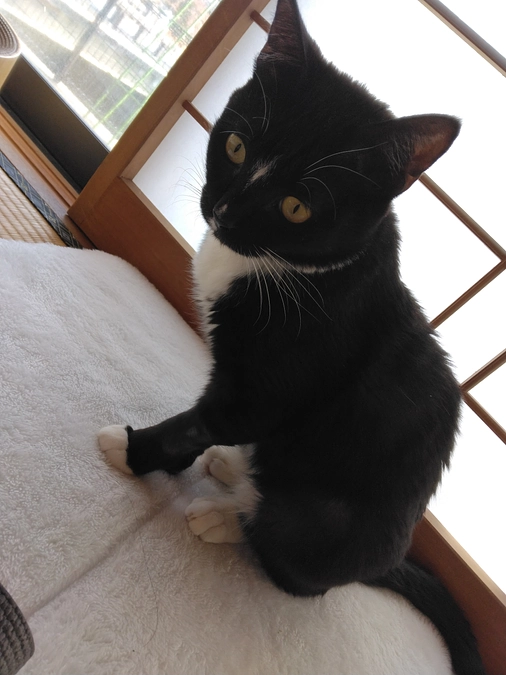 1/18はなちゃんの様子