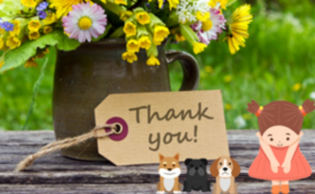 3,000円応援コース