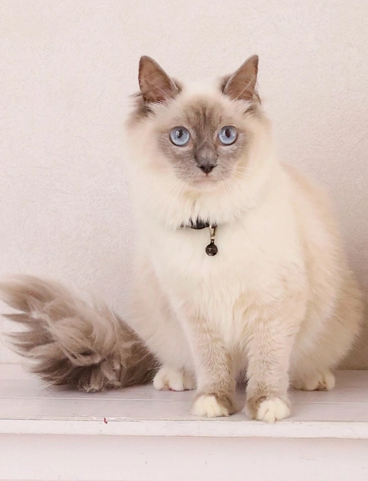 達成しました！！！！