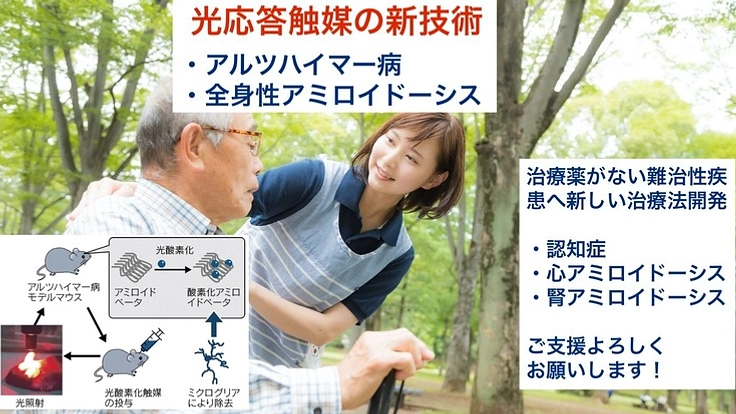 アルツハイマー病・全身性アミロイドーシスへの新薬開発にご支援を！