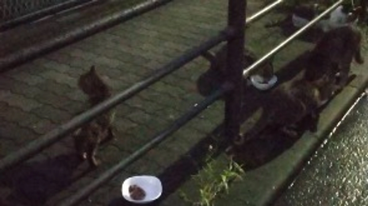 お世話になっておりますm(_ _)m