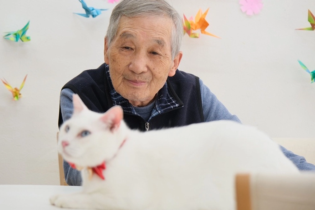 【あと4時間！最終目標まであと41万円！】支え合いの輪を広げて～猫たちと共に築く未来