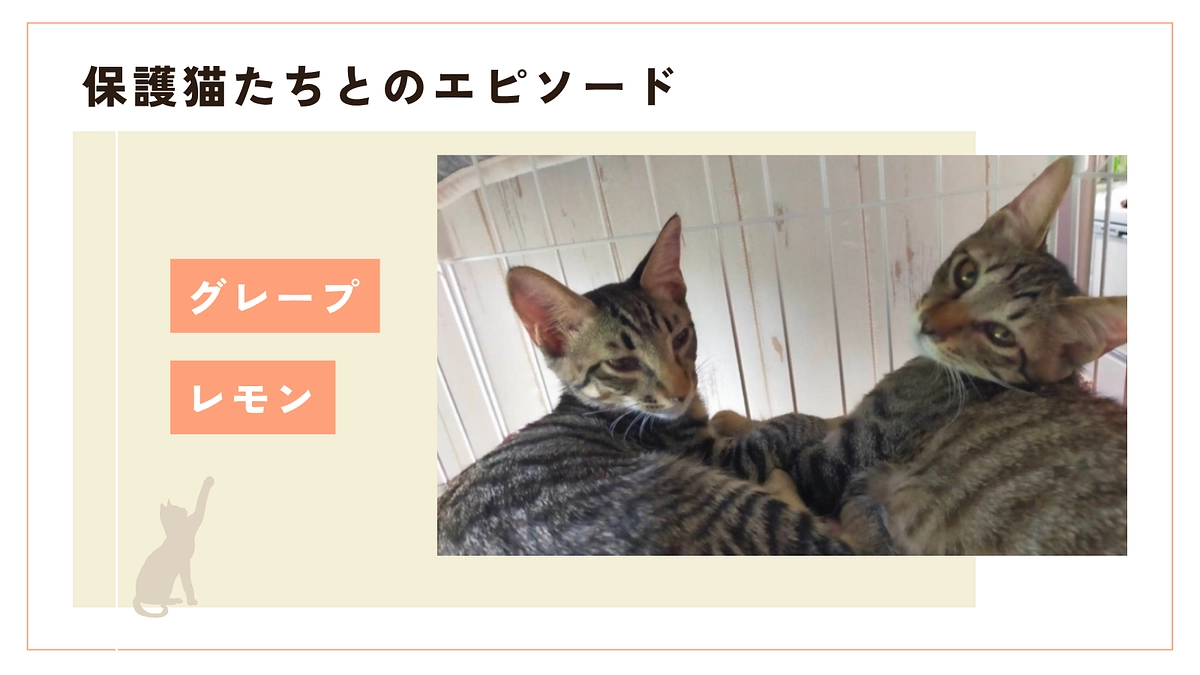 兄弟の絆とレモン君とグレープ君のお話