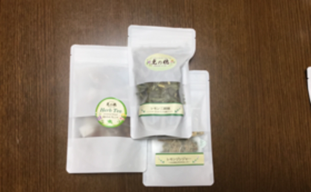 お気軽応援コース