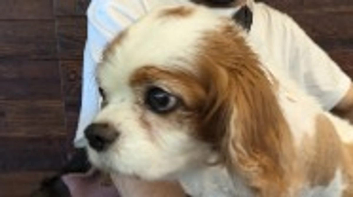 術後16日目、通院に行きました