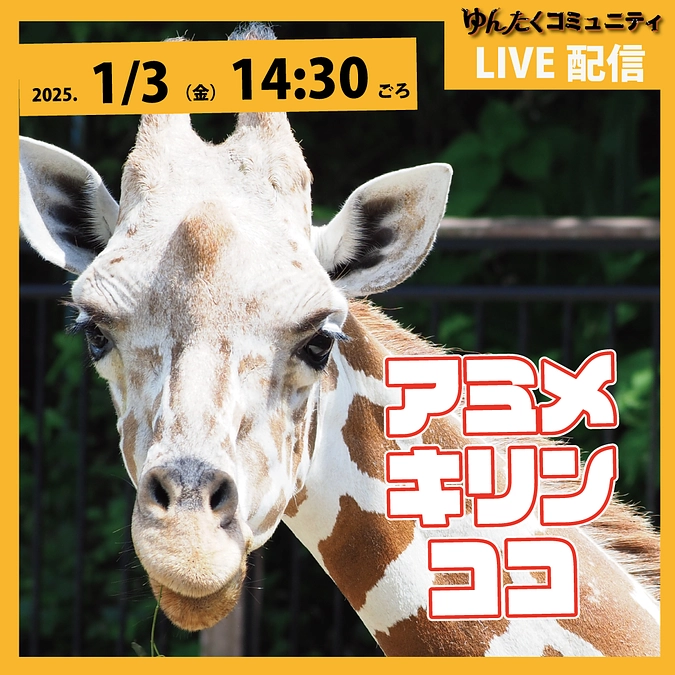 ゆんたくコミュニティ限定ライブ配信「アミメキリンのココ」
