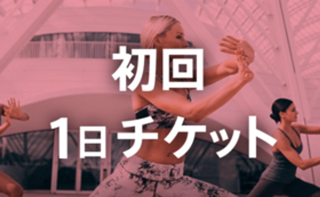 初回１日チケット