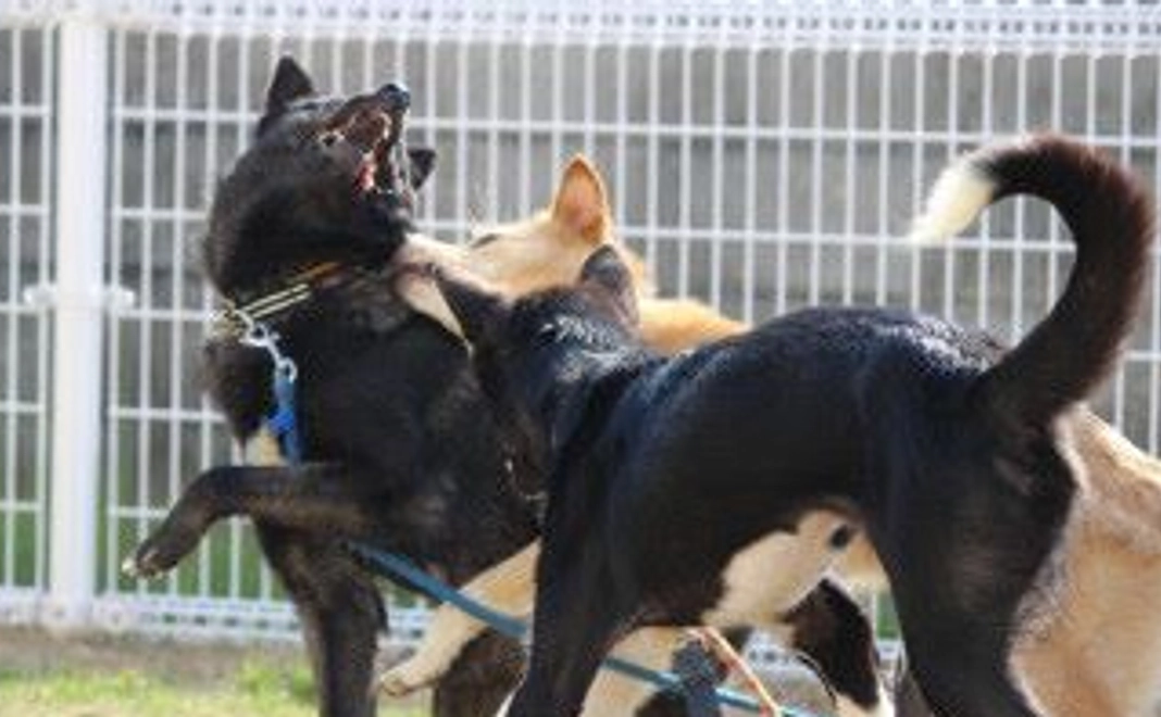 毎月30000円コース