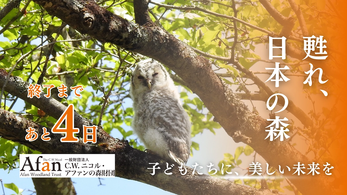 【残り4日】皆様からのあたたかい応援コメントの一部を紹介させてください①