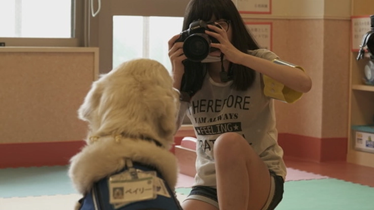 医療現場でのファシリティドッグ活動とアート活動を紹介したい！