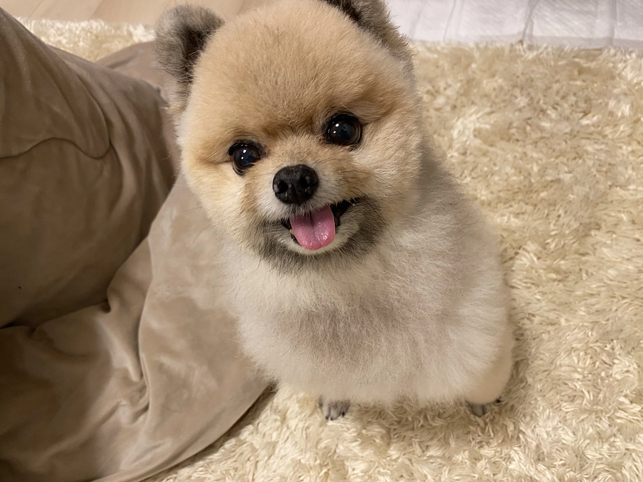 沢山の方に支えられています