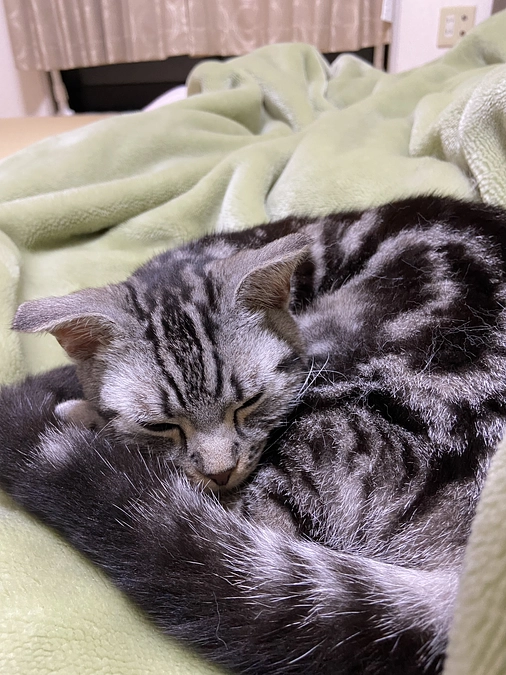 2023.5.14⭐️ #闘病生活 26日目