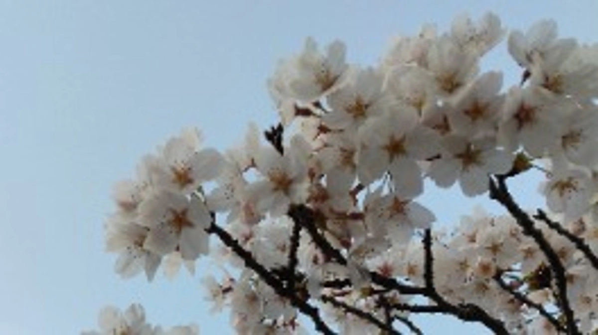 本日より、活動を開始しました！