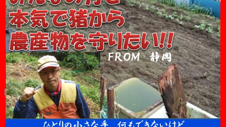 静岡市中山間地の農産物を猪から守りたい！檻オーナーを募集！