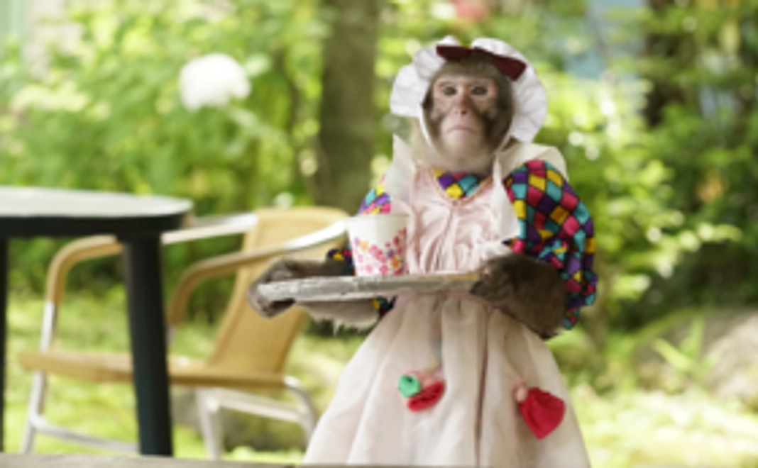 <リターン不要な方向け>日光さる軍団応援サポーター