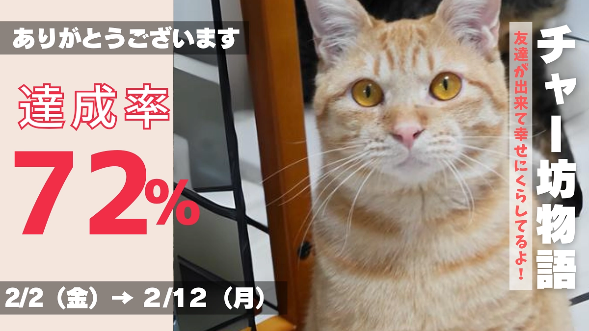 チャー坊、幸せだと感じてくれてるんだね〜！