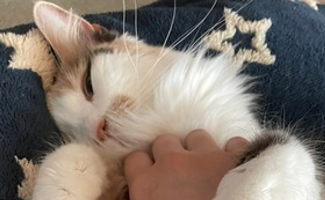 ご支援よろしくお願いいたします。①