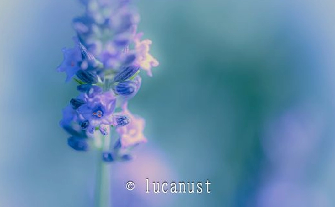 *【お気持ちご支援プラン】❤運気が上がる「幸せの三原則」と〈愛と感謝&ご報告メール〉をお送りいたします!