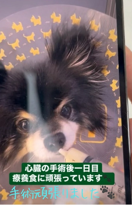 【手術についてのご報告】