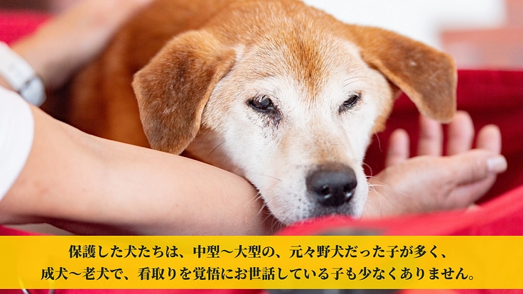 共に築く未来~皆がGUARDIANとなりこの子たちの基地の為に~ 4枚目