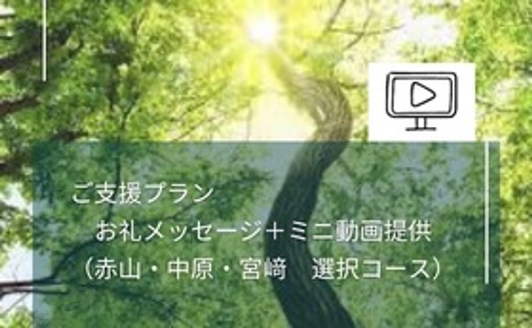 《ご支援プラン3》お礼メッセージ+ミニ動画提供