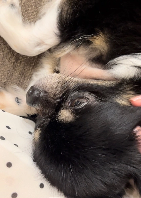 残り1週間を切りました