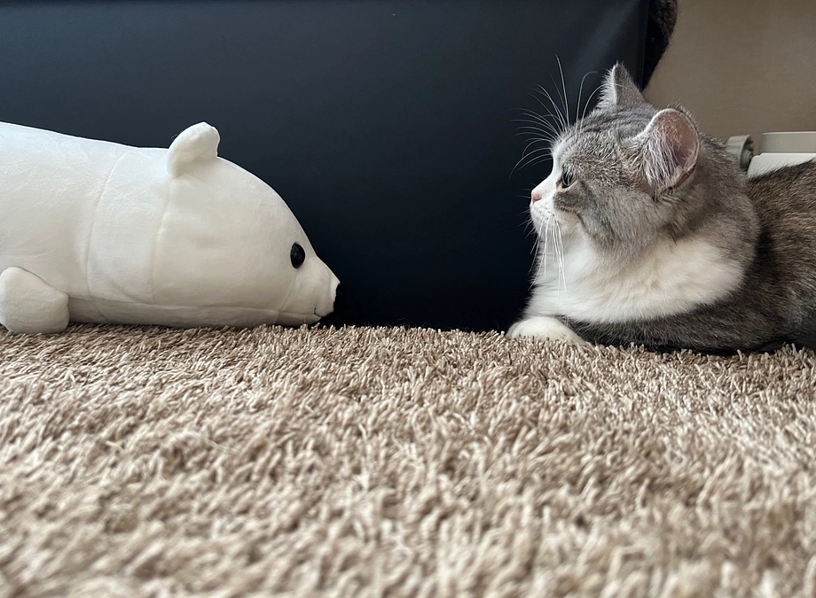 治療39日目のココロ