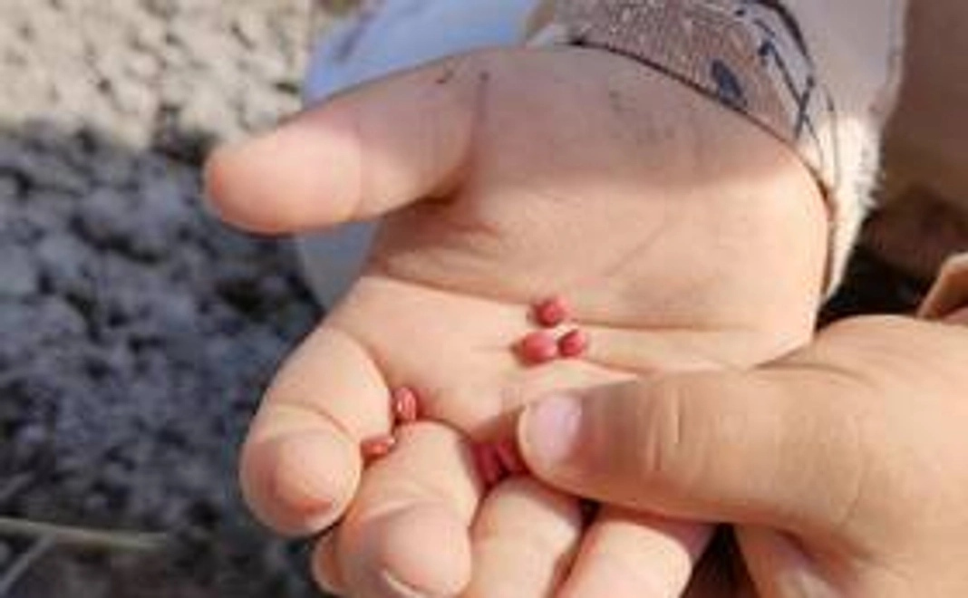 応援しています！（お礼のメール）