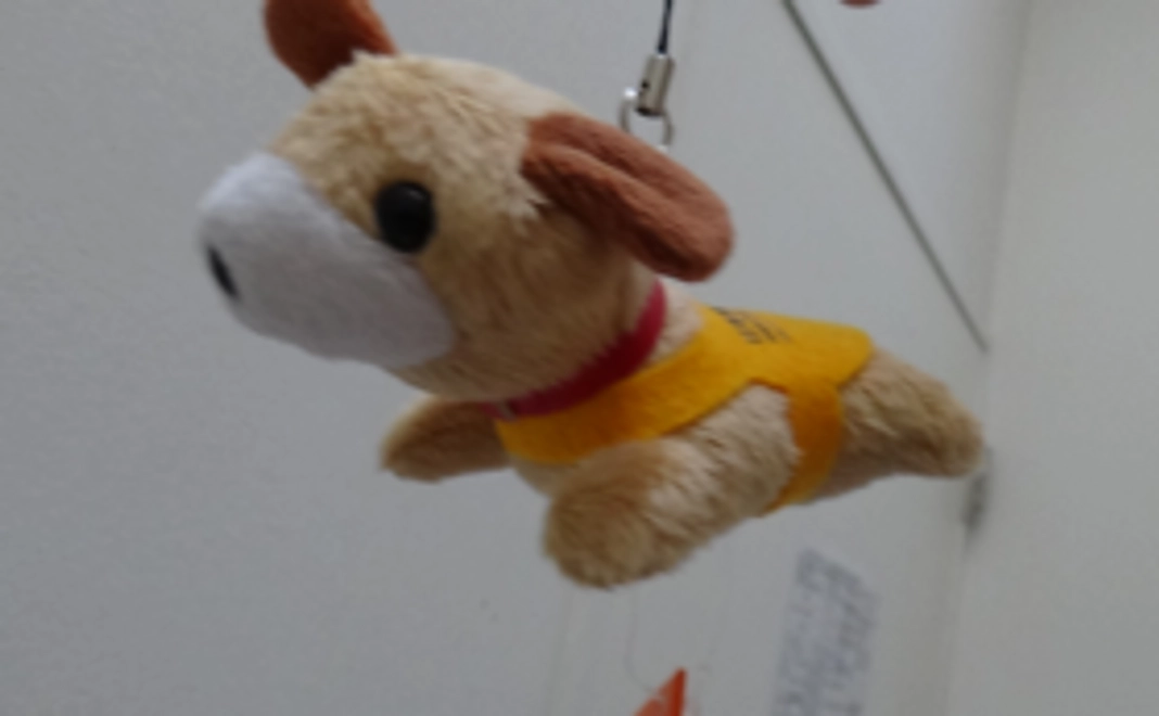 ご招待状と、聴導犬・介助犬オリジナル・マスコット