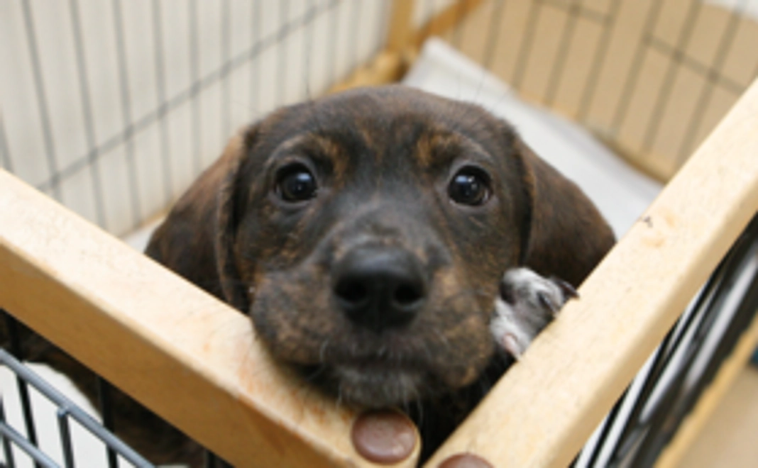 全額支援コース(3千円)