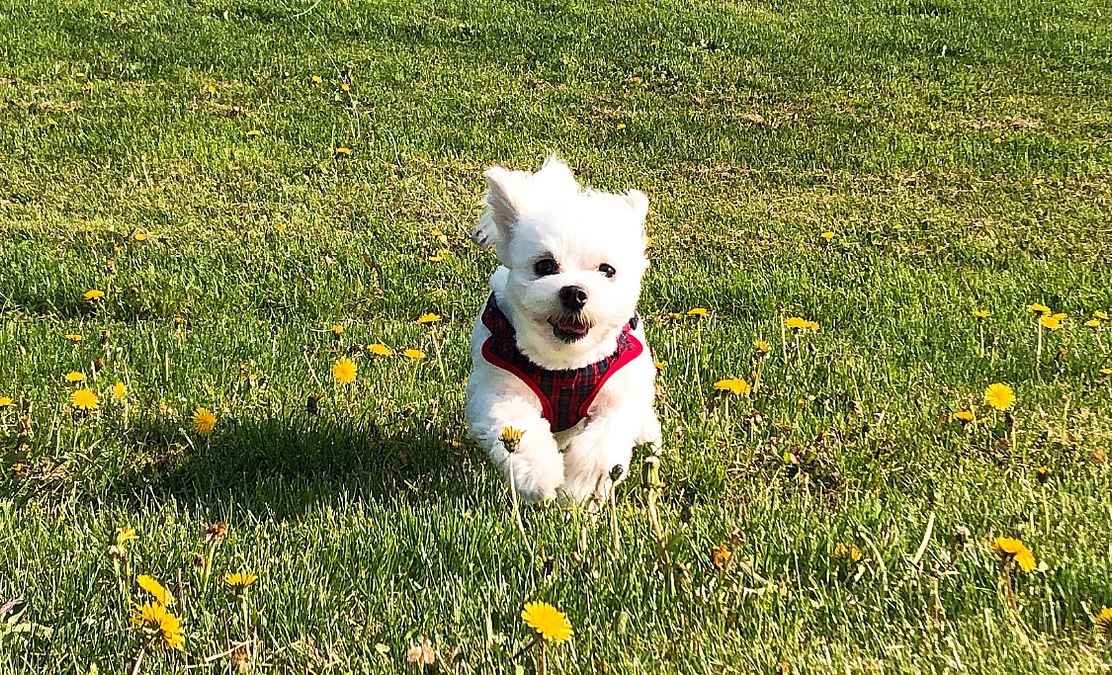 残り８日／達成率30%