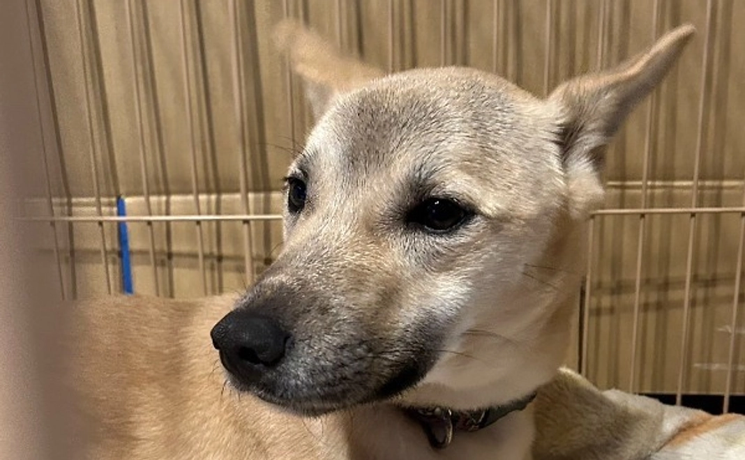 マンスリー継続応援５００円コース