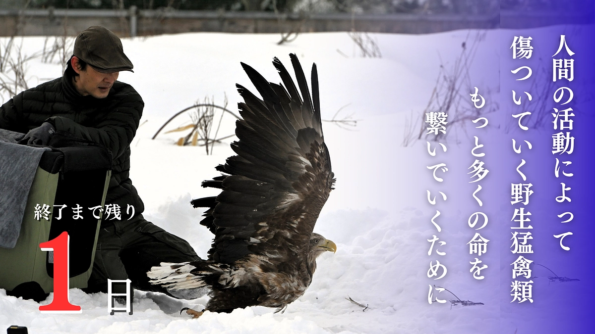 目標突破の御礼を申し上げます。終了まで残り1日！いよいよ明日で終了です！