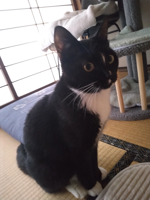 4/17はなちゃんの様子