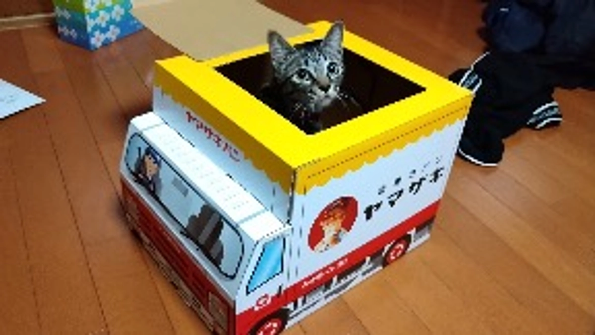 プロジェクト初日。始まりました。