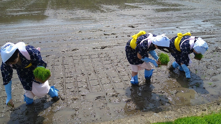 敦賀の地酒復活プロジェクト
