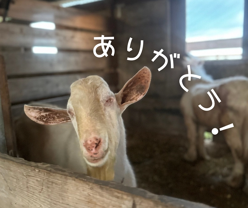 【大感謝！80%に到達しました！】ご支援の御礼と応援コメントのご紹介！