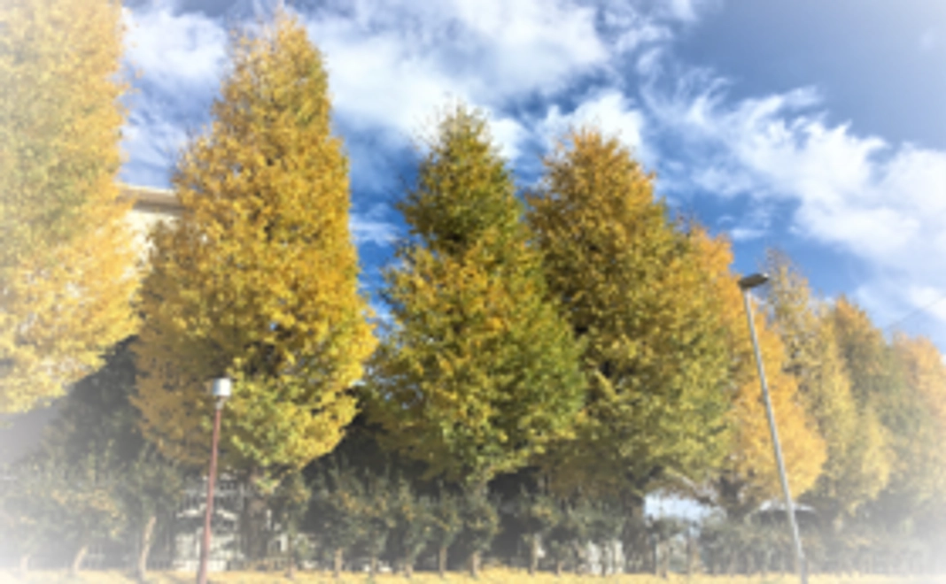 【心を込めたお礼のメール】