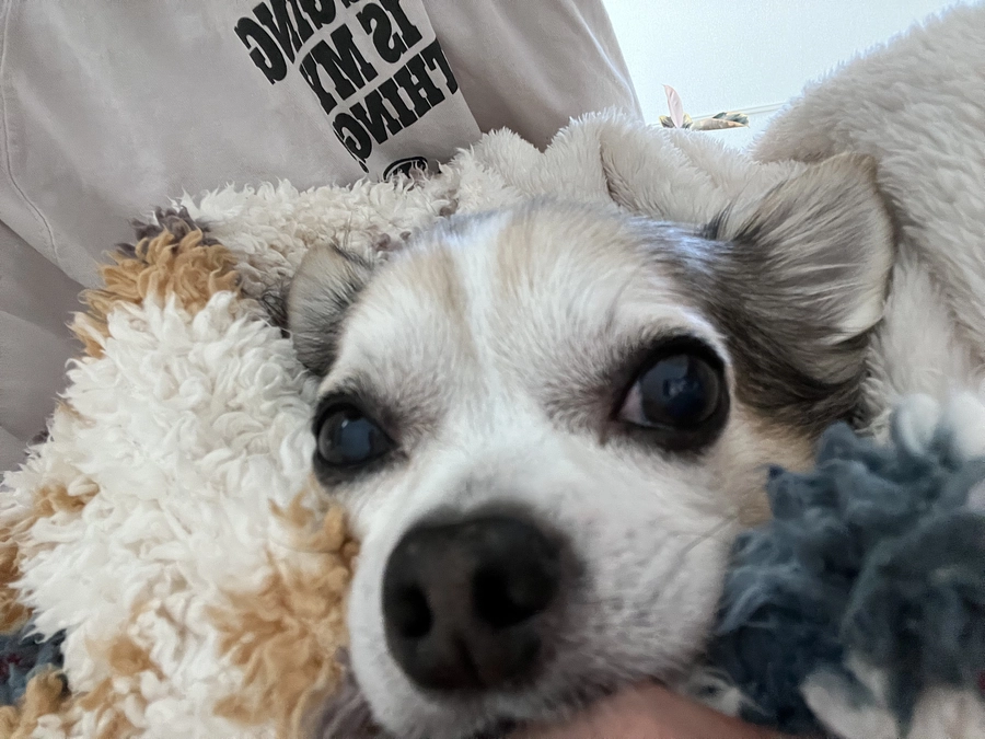 インスタライブありがとうございました🙇💦