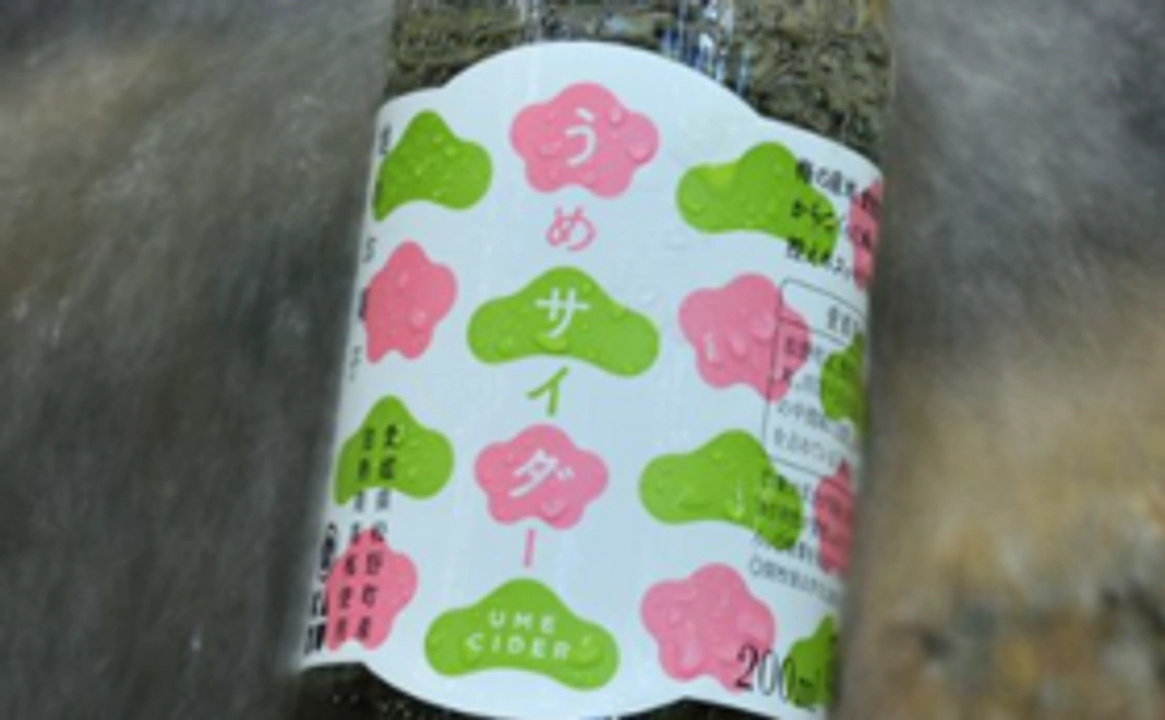 【味わって応援！】『うめサイダー』6本セット