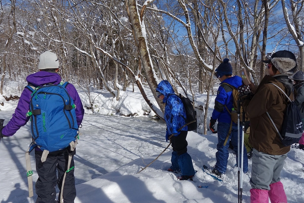 冬のアファンの森に地元小中学校特別支援学級の子どもたちを案内しました。