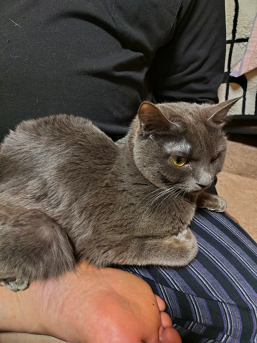 おはようございます