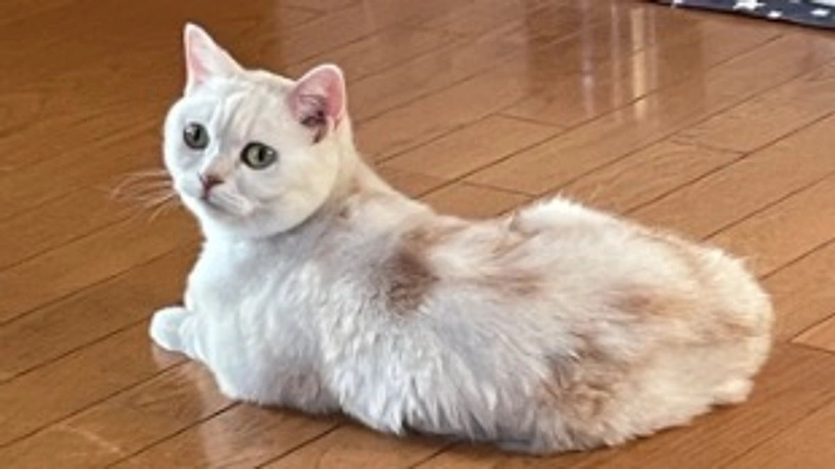 体重が増えました👏