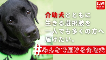 #みんなで届ける介助犬｜今年は目標＋3頭！介助犬の減少に歯止めを のトップ画像