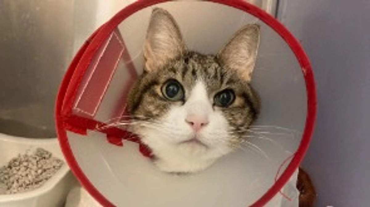 🏥12/25 入院2日目💊