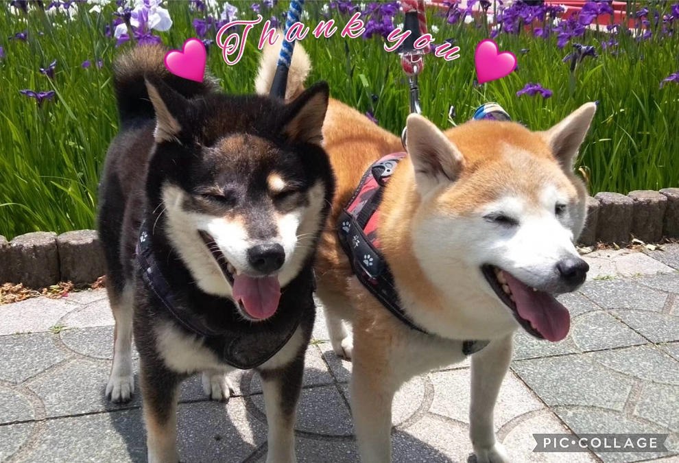 リターン送付について